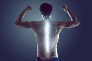 guide to a healthy spine