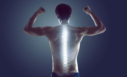 guide to a healthy spine