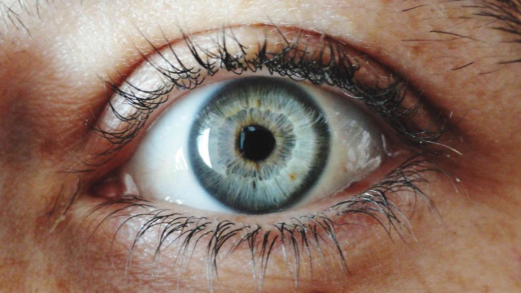 The Early Warning Signs of Future Blindness
