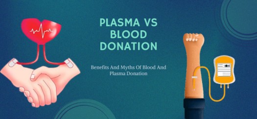 Plasma Vs Blood Donation: What’s The Difference And Why It Matters