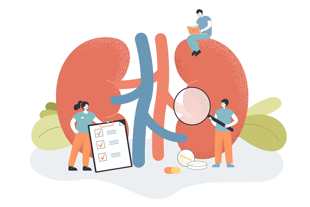 What to Expect at Your First Appointment with a Kidney Specialist